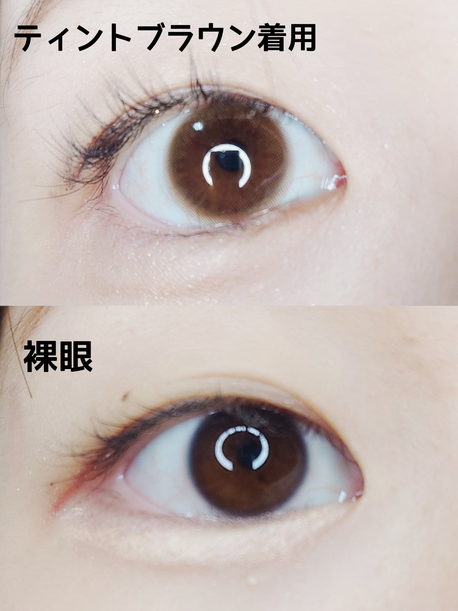 MOLAK 1day/MOLAK/ワンデー（１DAY）カラコンを使ったクチコミ（3枚目）