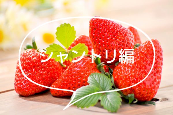 エブリネイチャーデイズ  いちご シャンプー / いちご トリートメント/エブリネイチャーデイズ/市販シャンプーを使ったクチコミ（1枚目）