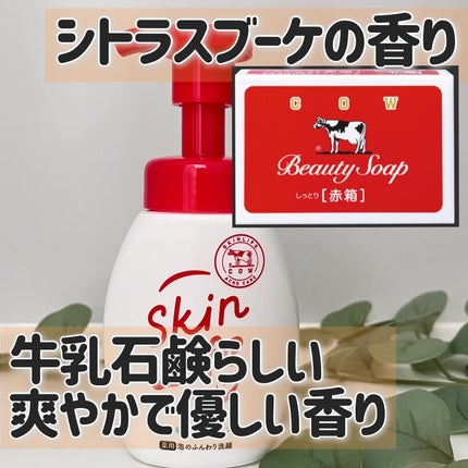 薬用泡のふんわり洗顔/スキンライフ/泡洗顔を使ったクチコミ(5枚目)