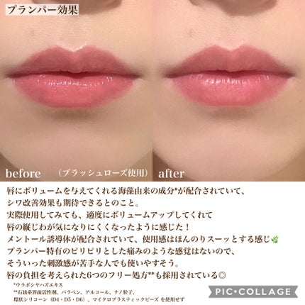 ジューシー プランパー リップス/ブリリアージュ/リッププランパーを使ったクチコミ(8枚目)