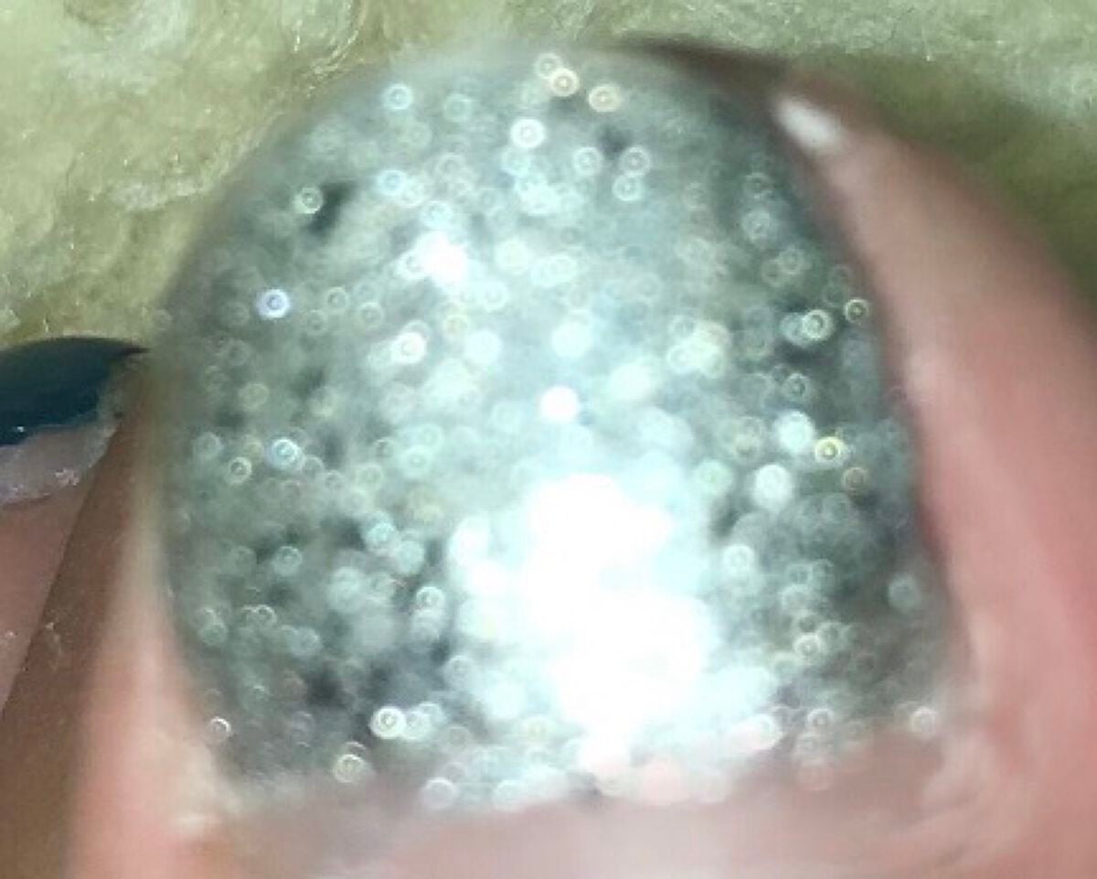 yn614✨毎日投稿 on LIPS 「URGLAM COLORNAILSELECTIONCL1<グリ..」(2枚目)