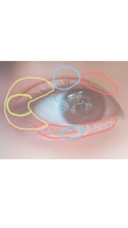 アイカラーパレット/ティアラガール/アイシャドウパレットを使ったクチコミ(3枚目)