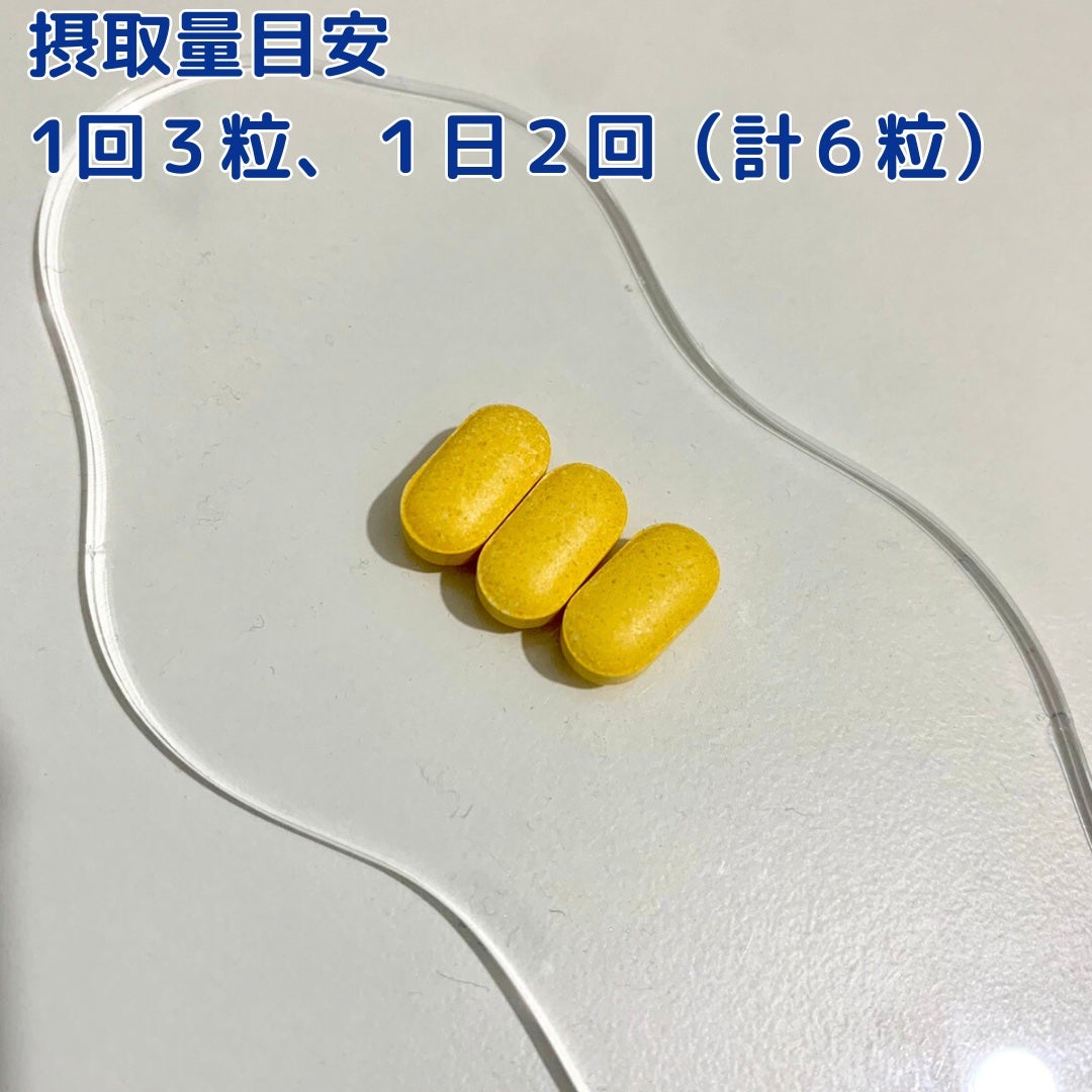 スノーセル/メディタミン/美容サプリメントを使ったクチコミ(3枚目)