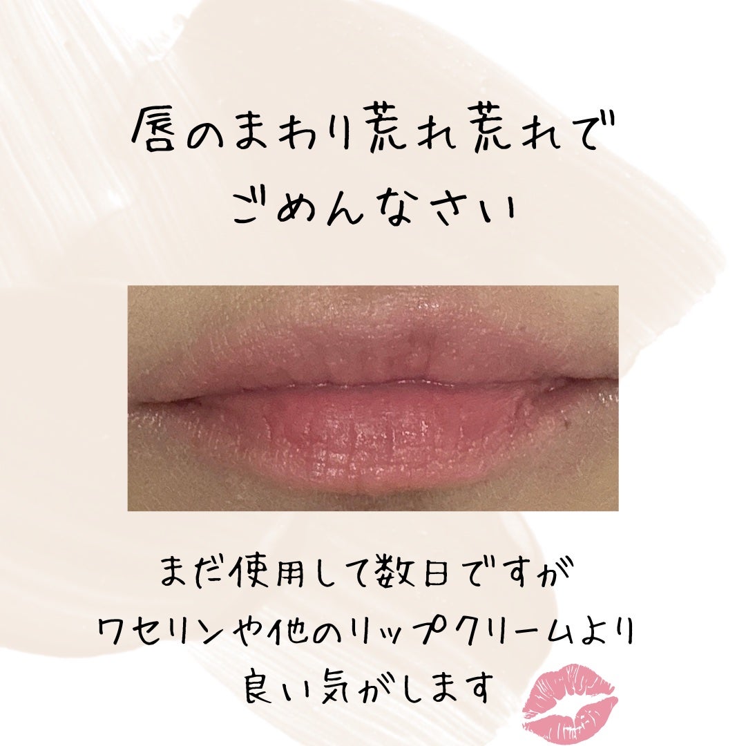 リップスリーピングマスク/LANEIGE/リップバームを使ったクチコミ(3枚目)