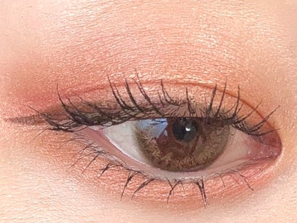 シェイク ユア パーム パームズ ミニ アイシャドウ パレット/Too Faced/アイシャドウパレットを使ったクチコミ(6枚目)