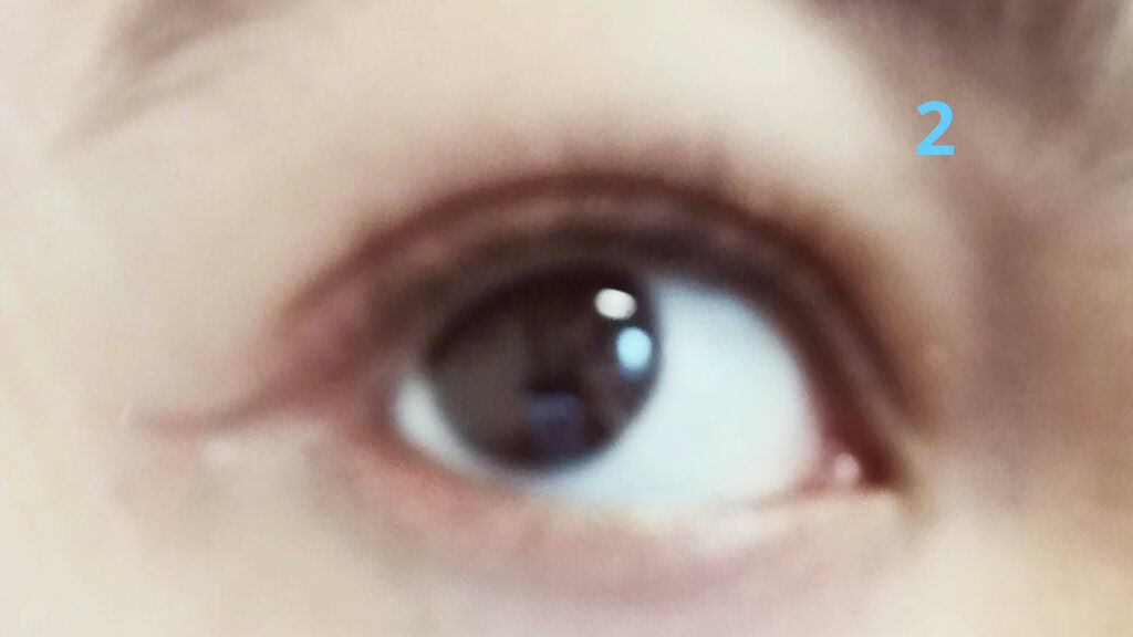 ナチュラル チークN/CEZANNE/パウダーチークを使ったクチコミ（2枚目）