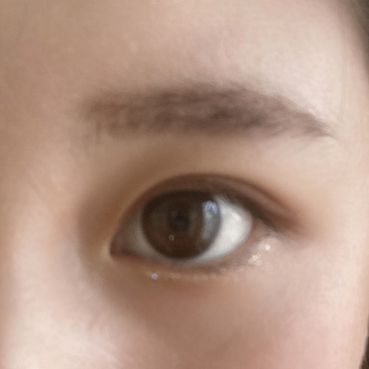 エバビレーナ アイブローパウダー/DAISO/パウダーアイブロウを使ったクチコミ（1枚目）