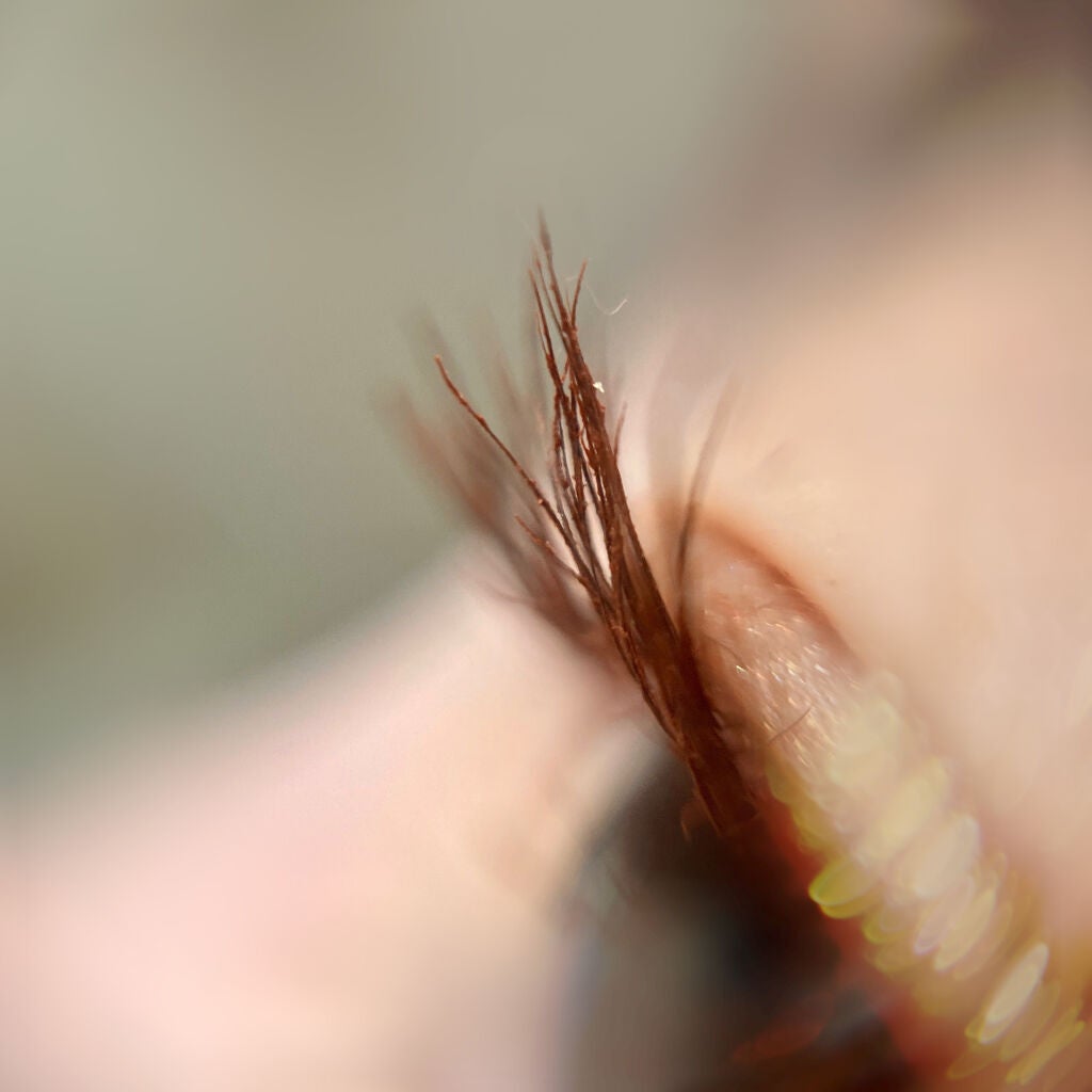 クイックラッシュカーラー/キャンメイク/マスカラ下地を使ったクチコミ(4枚目)