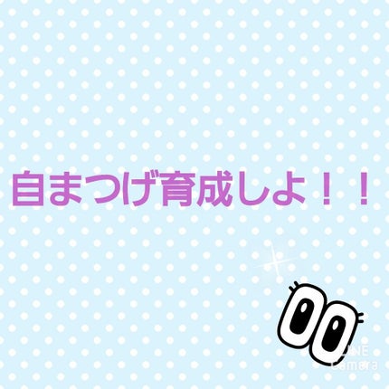まつげ美容液EX/CEZANNE/まつげ美容液を使ったクチコミ(1枚目)