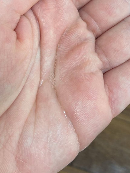 モイスチュア&バランシング ローション/N organic/化粧水を使ったクチコミ(3枚目)