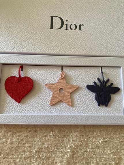 サンク クルール クチュール<バーズ オブ ア フェザー>/Dior/アイシャドウパレットを使ったクチコミ(3枚目)