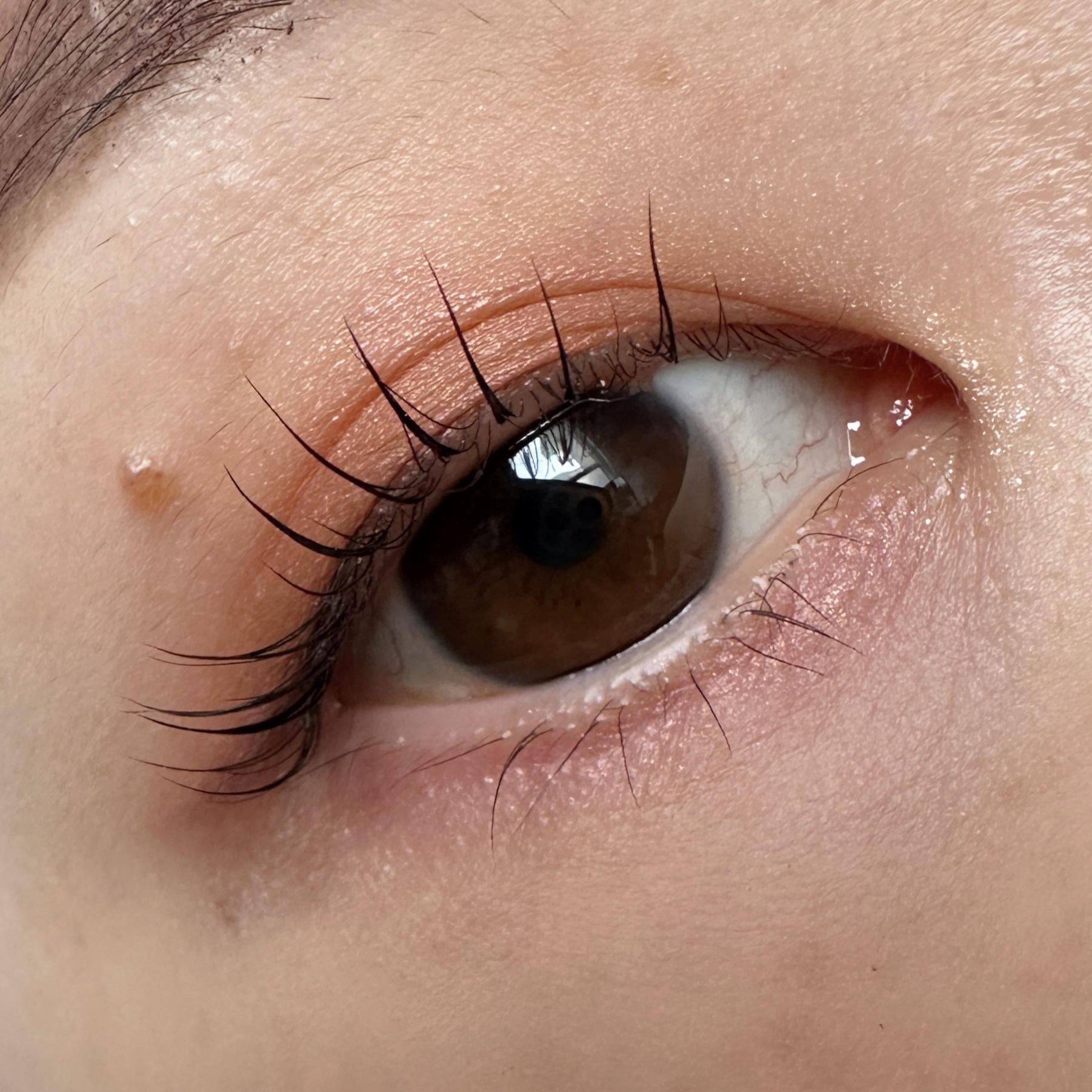 Eyeshadow 5 Colour Compacts/BYREDO/アイシャドウパレットを使ったクチコミ（2枚目）