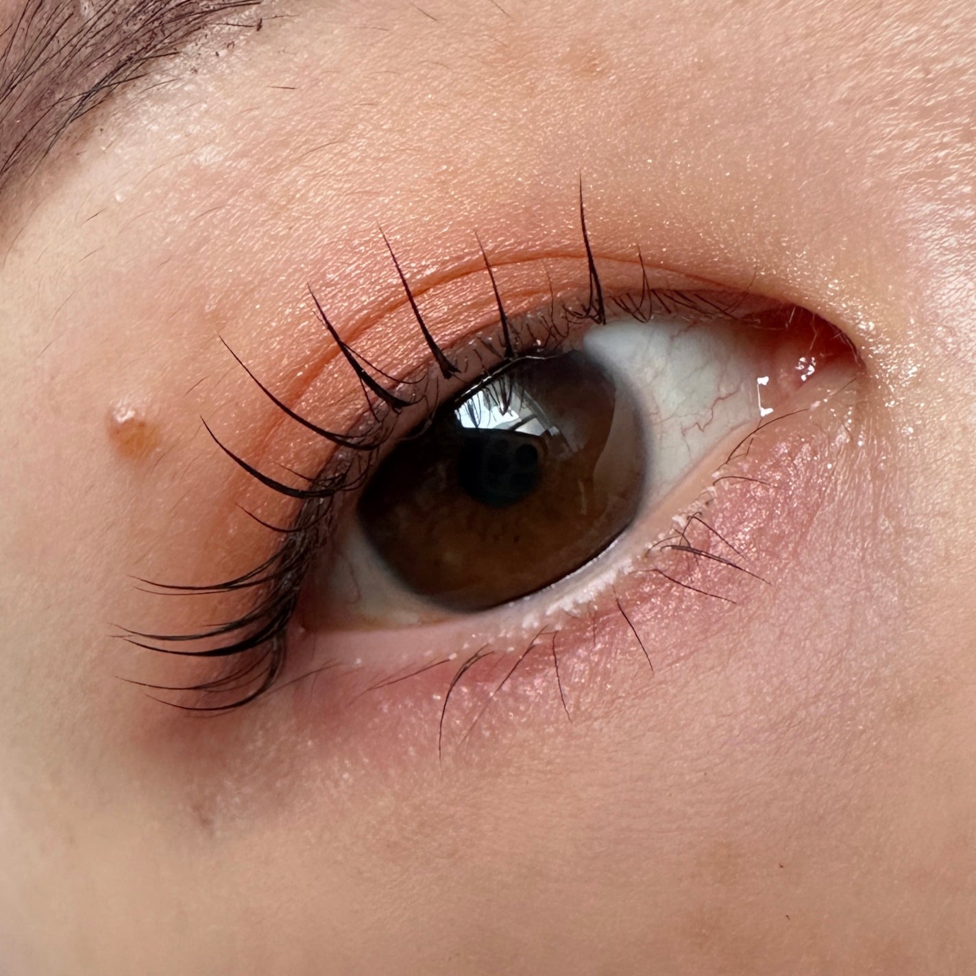 Eyeshadow 5 Colour Compacts/BYREDO/アイシャドウパレットを使ったクチコミ(2枚目)