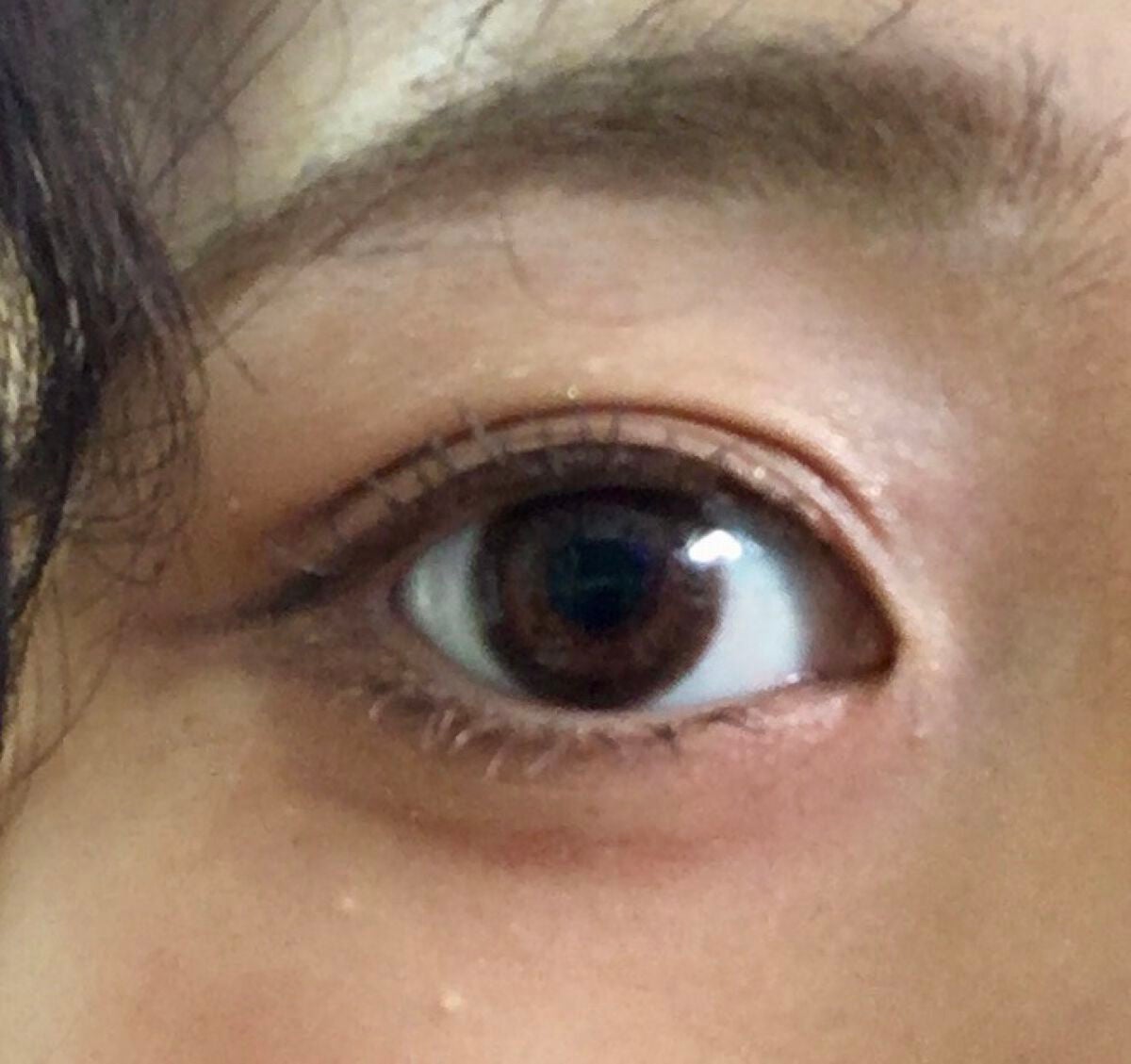 カラーリングアイブロウ/ヘビーローテーション/眉マスカラを使ったクチコミ(1枚目)