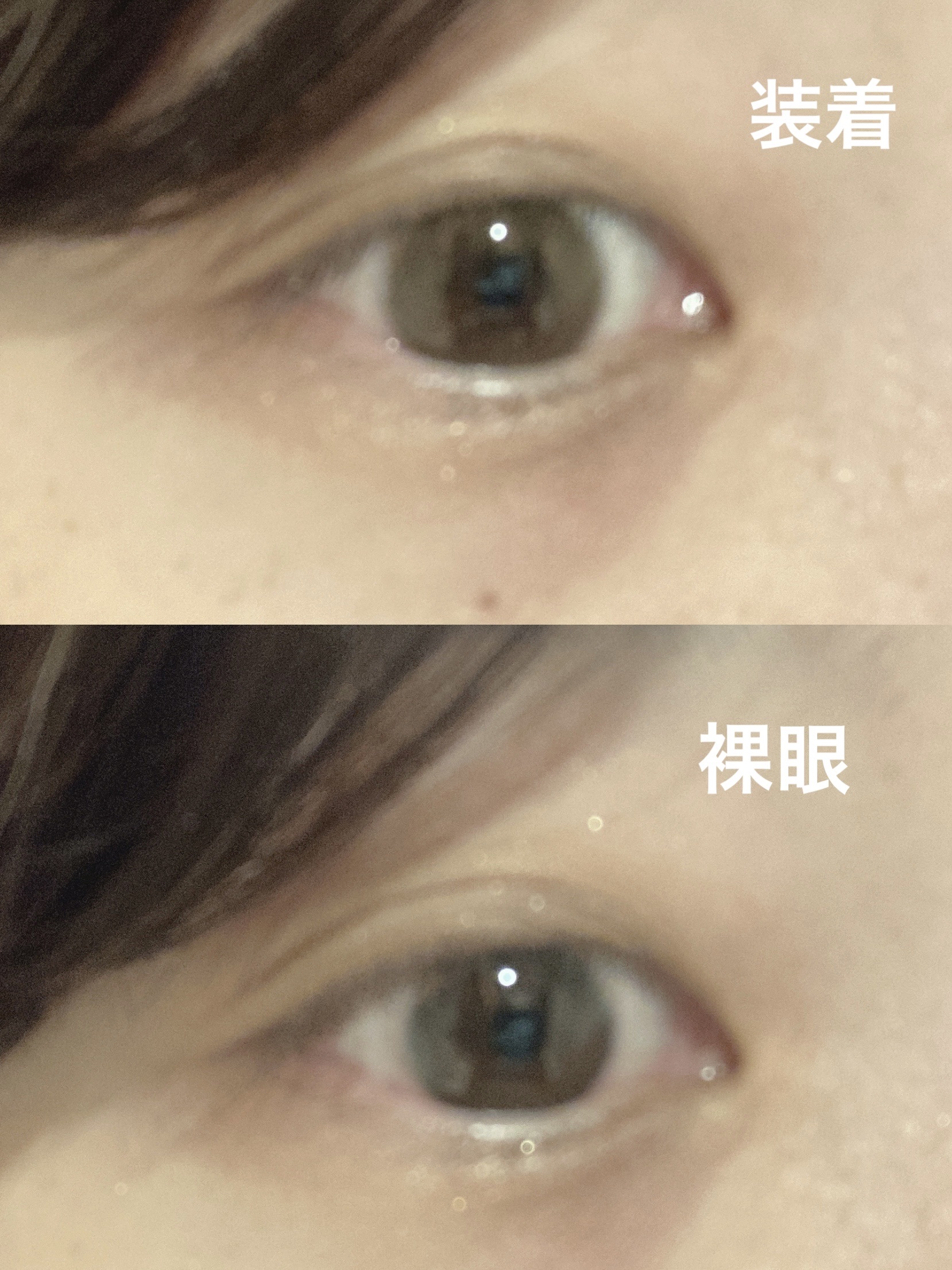 FLANMY 1day キナコロール/FLANMY/ワンデー（１DAY）カラコンを使ったクチコミ（3枚目）