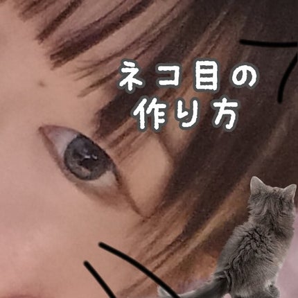 クリーミータッチライナー/キャンメイク/ジェルアイライナーを使ったクチコミ(1枚目)