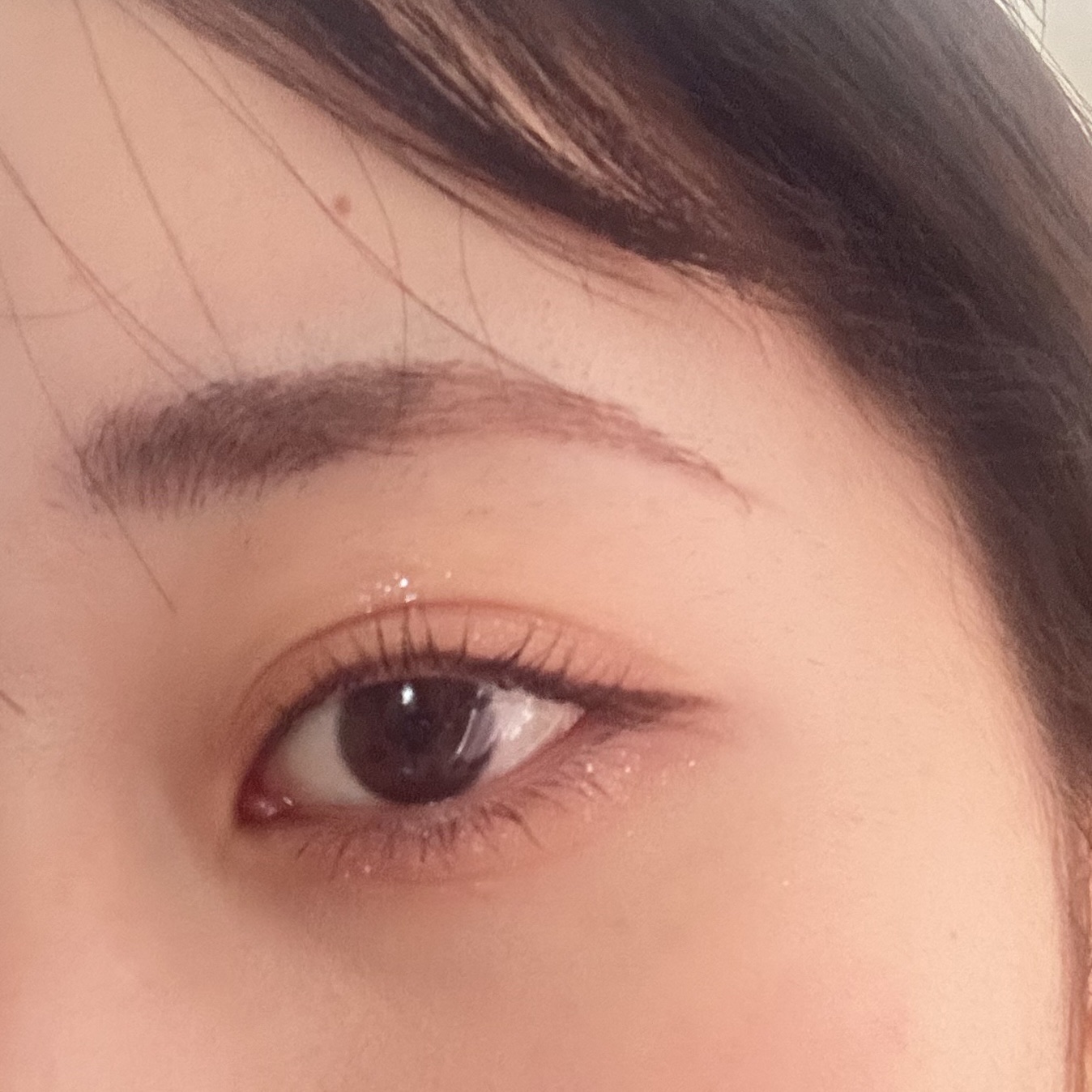 月光人魚シリーズ ジュエリーアイズ 02：Celestial Castle/FlowerKnows/アイシャドウパレットを使ったクチコミ（3枚目）