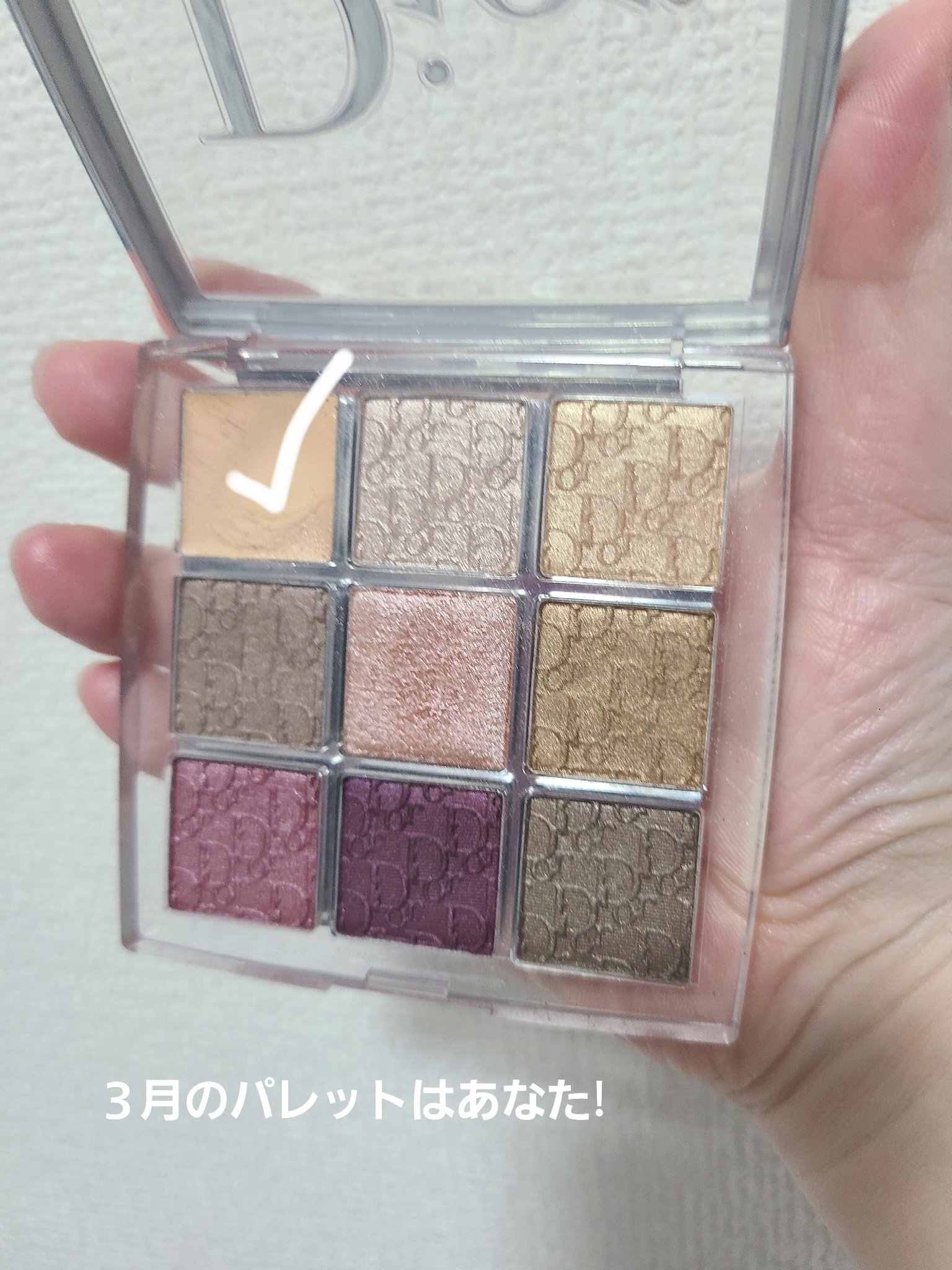 Étendu Palette   SOLEIL LA PLAGE/VISEART/アイシャドウパレットを使ったクチコミ（2枚目）