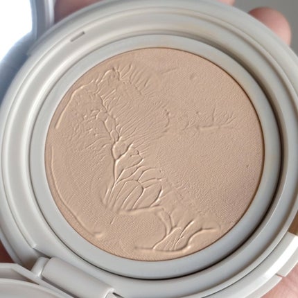 Pore Caring Mesh Cushion/BeginS by JUNGSAEMMOOL/クッションファンデーションを使ったクチコミ(3枚目)
