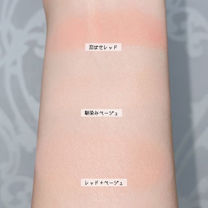 リシェ レッドトリック アイコンシーラー/Visée/パレットコンシーラーを使ったクチコミ(4枚目)