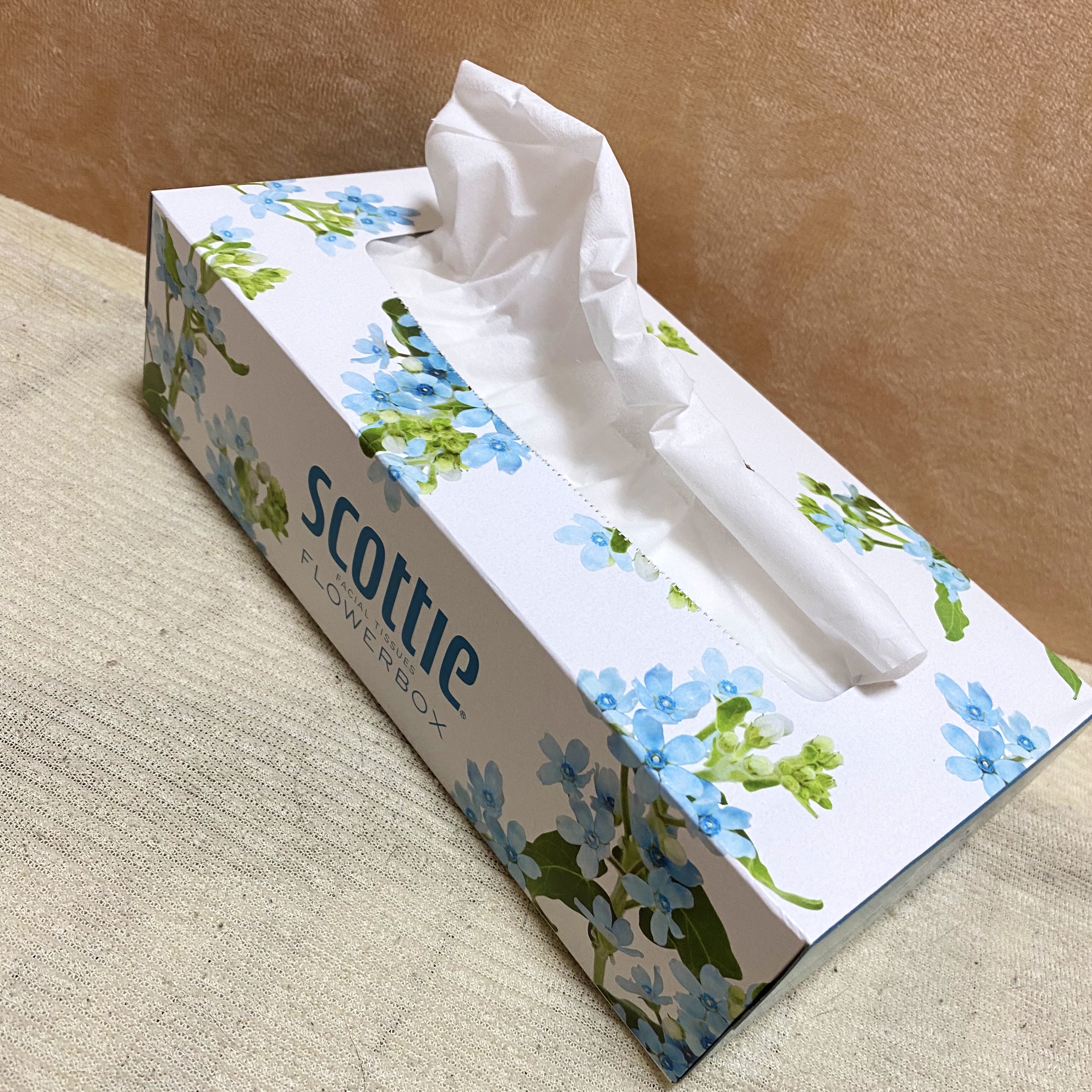ティシュー フラワーボックス / スコッティ