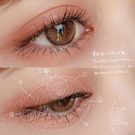 ニュアンスオンアイシャドウ/CEZANNE/アイシャドウパレットを使ったクチコミ(3枚目)