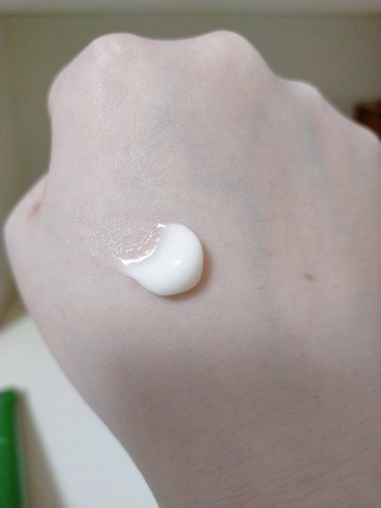 グリーンティーシード クリーム/innisfree/フェイスクリームを使ったクチコミ(3枚目)