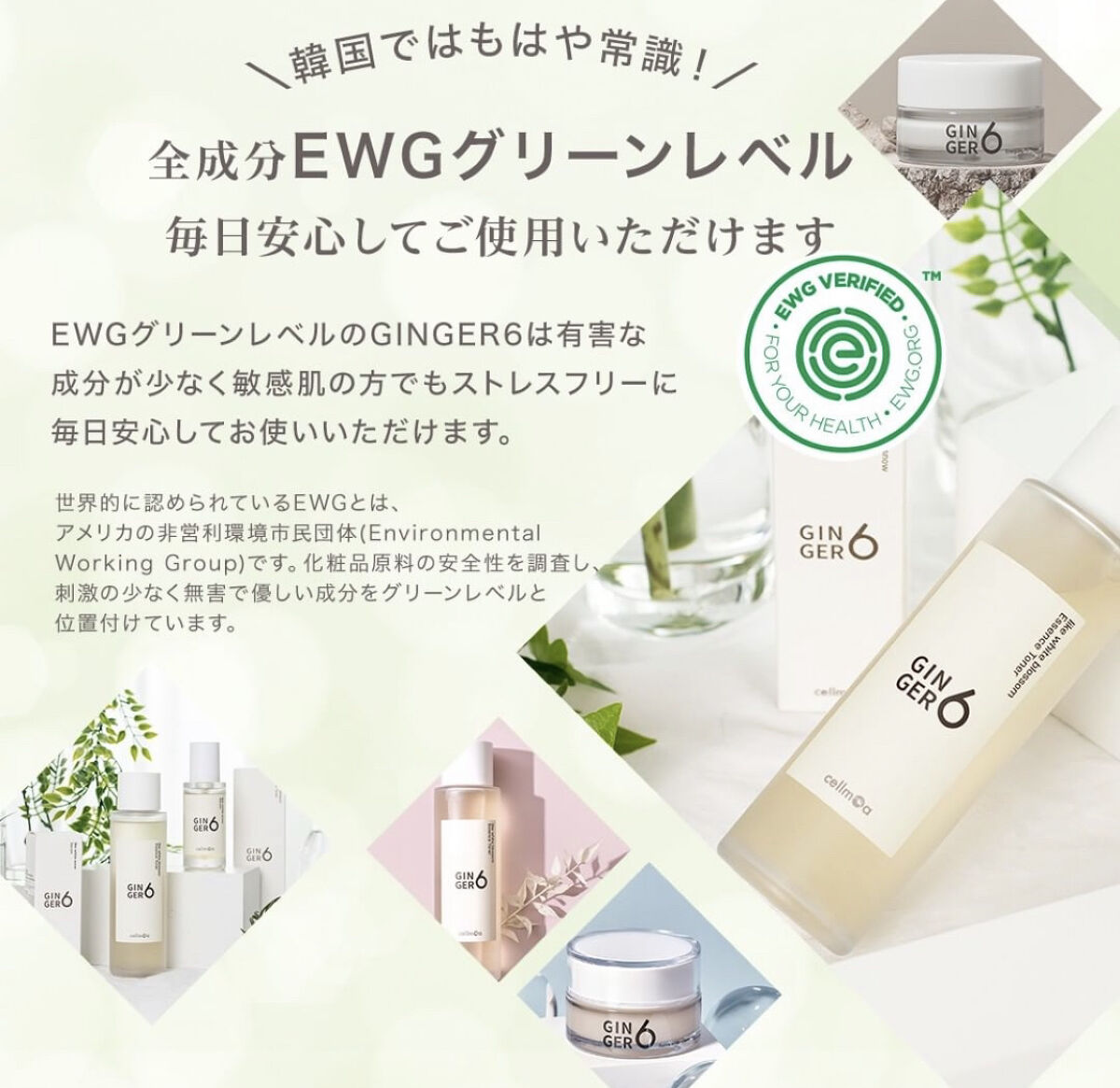 アクティブウォータークリーム/GINGER6/フェイスクリームを使ったクチコミ（2枚目）