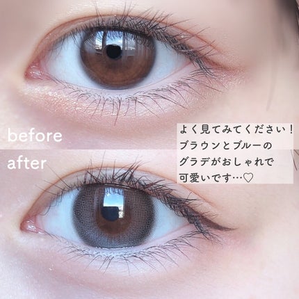 OLOLA デームードグレーマンスリー (DAYMOOD GRAY monthly)のクチコミ「\ブラウン×ブルーのグラデ♡/
OLOLAデームード❤︎
………………………………………
.....」(3枚目)