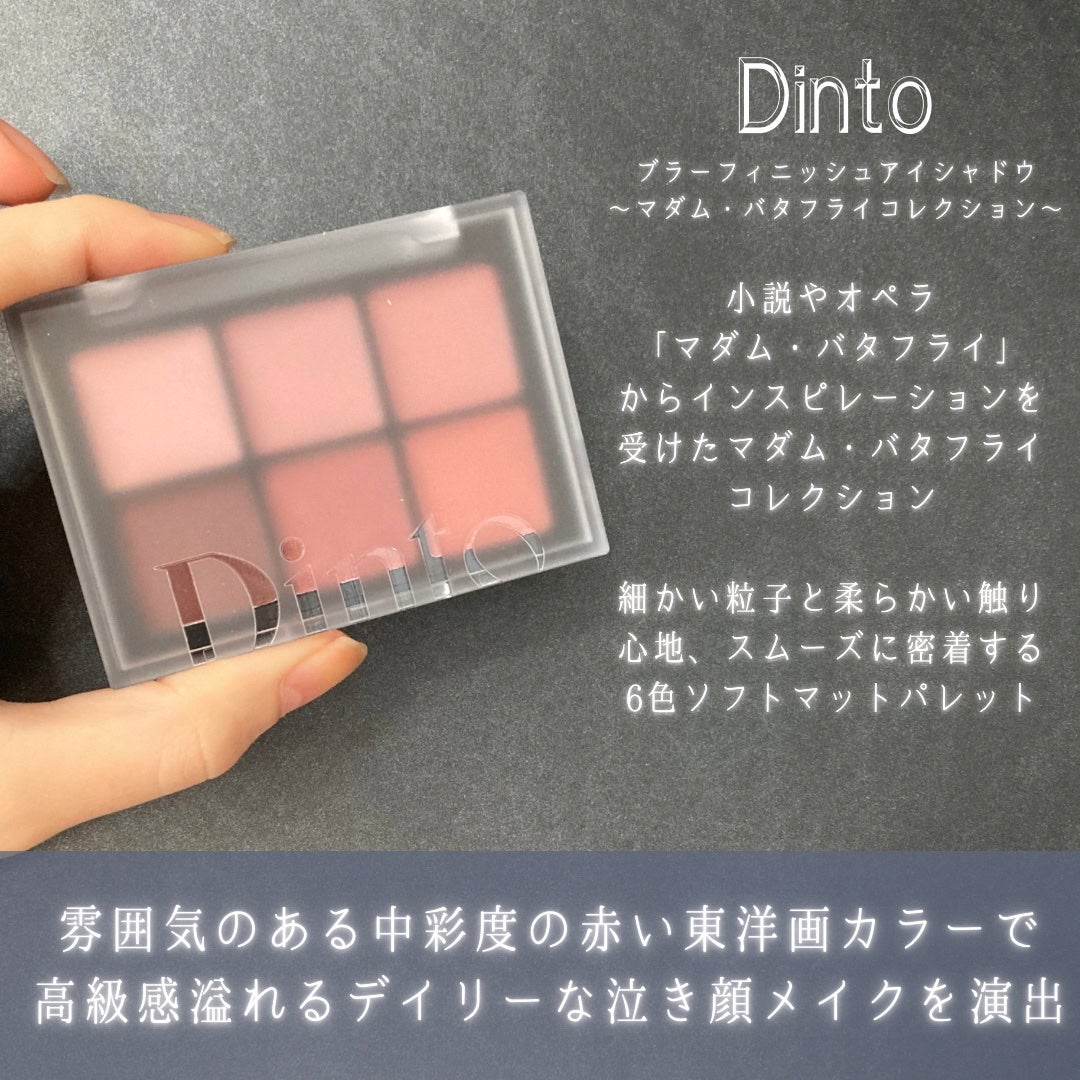 ブラーフィニシュシャドウパレット/Dinto/アイシャドウパレットを使ったクチコミ(2枚目)