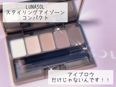 スタイリングアイゾーンコンパクト/LUNASOL/アイシャドウパレットを使ったクチコミ（1枚目）