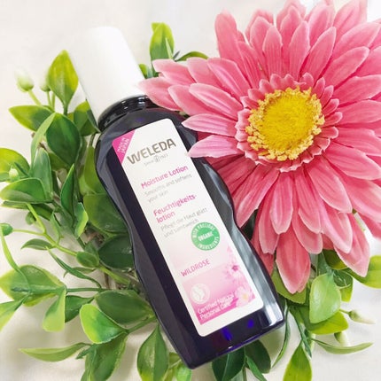 ワイルドローズ モイスチャーローション/WELEDA/化粧水を使ったクチコミ(1枚目)