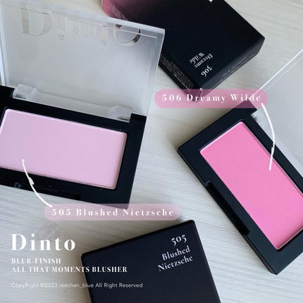 ブラーフィニシュシャドウパレット/Dinto/アイシャドウパレットを使ったクチコミ(1枚目)