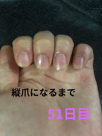 ã䜿ã£ãã¯ãã³ãïŒ1æç®ïŒ