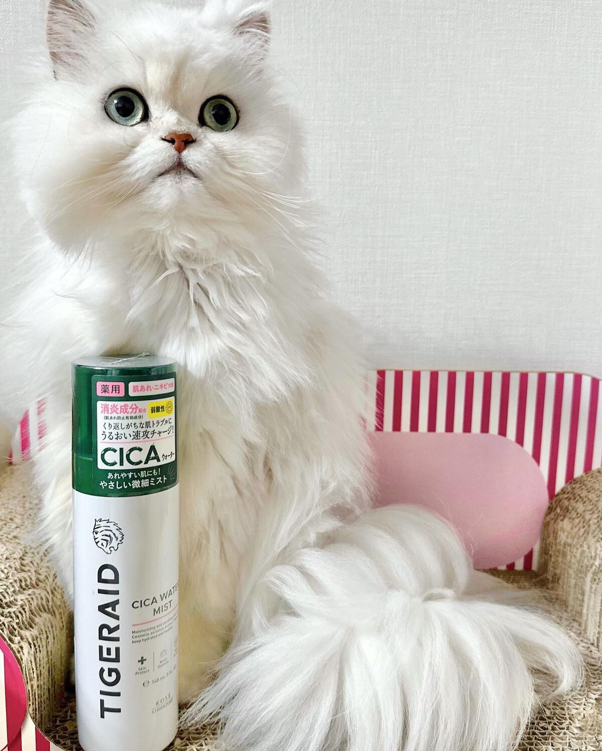 薬用 CICA ウォーターミスト/タイガレイド/ミスト状化粧水を使ったクチコミ(1枚目)