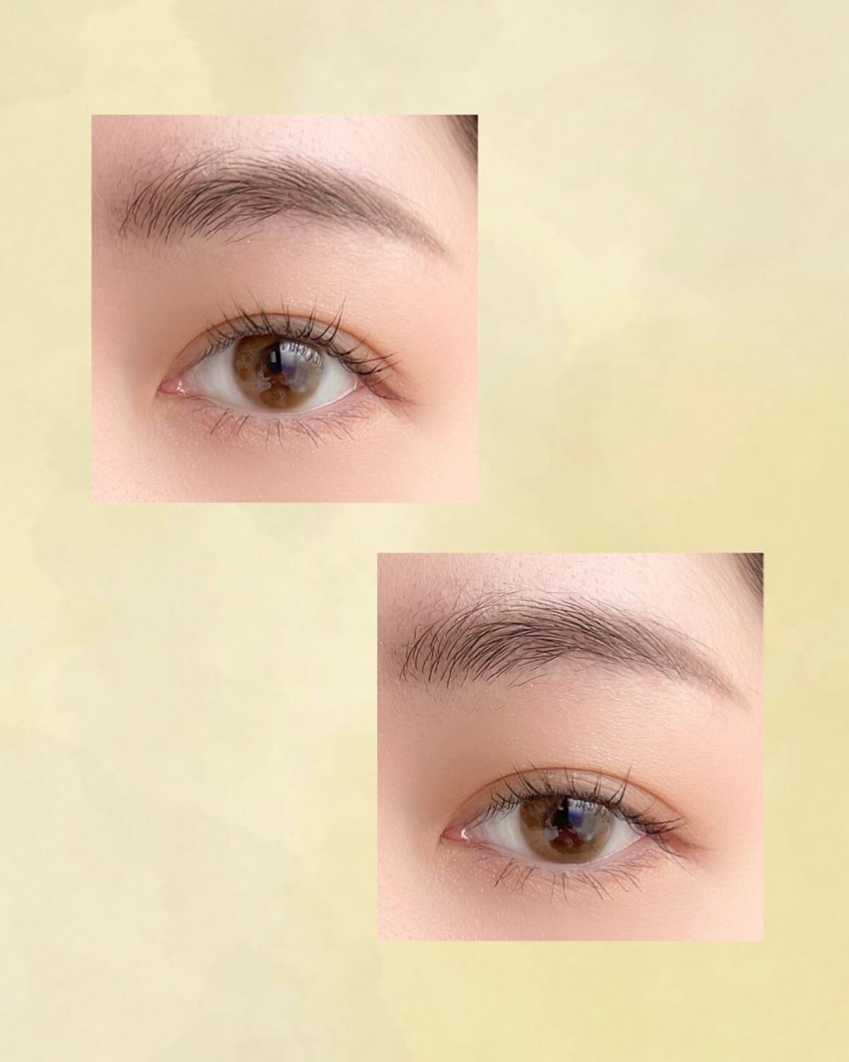 グラデーション アイカラー/FASIO/単色アイシャドウを使ったクチコミ(2枚目)