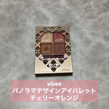 パノラマデザイン アイパレット/Visée/アイシャドウパレットを使ったクチコミ（1枚目）