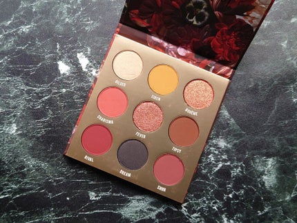 colourpop ORNATE/ColourPop/アイシャドウパレットを使ったクチコミ(3枚目)