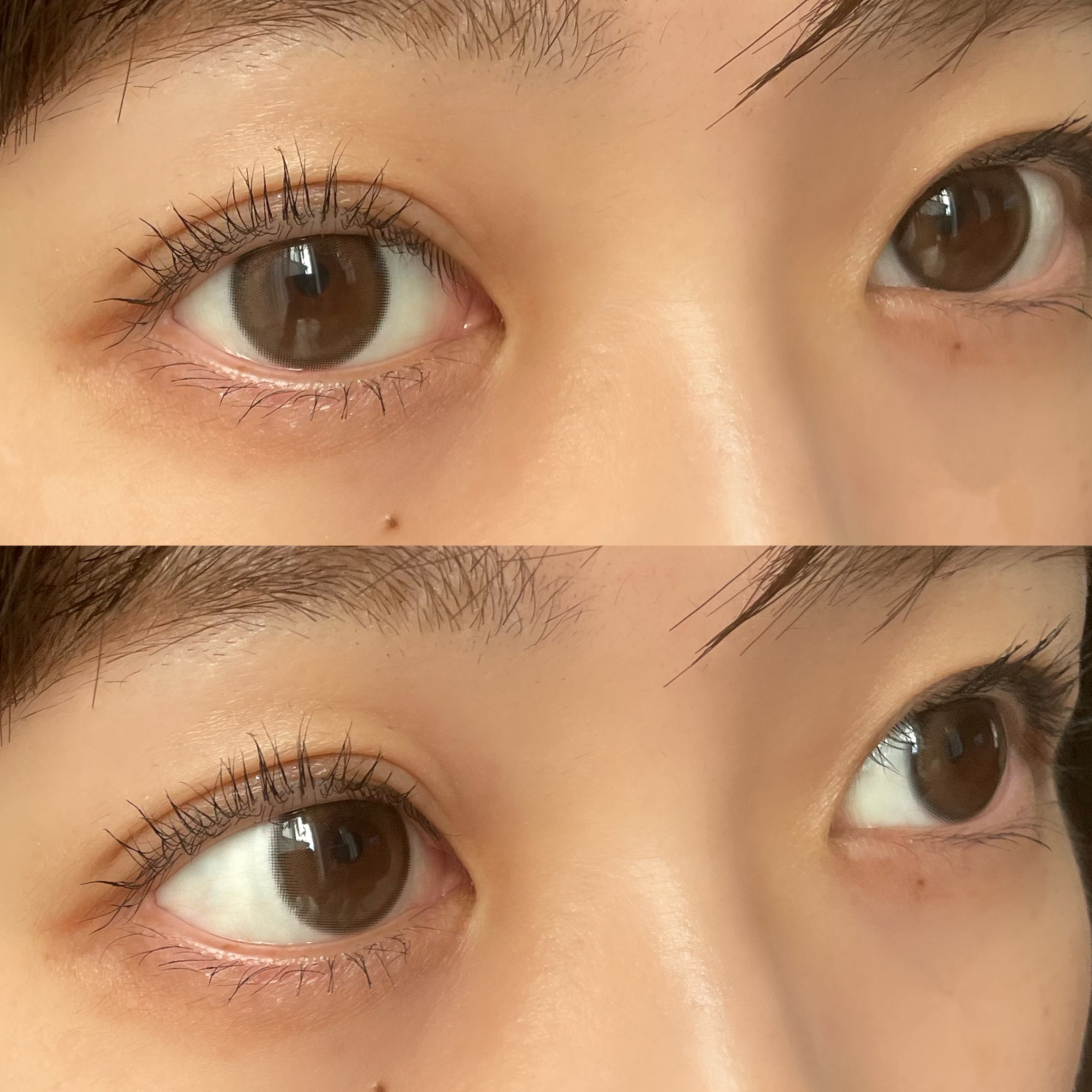 feliamo 1month/feliamo/１ヶ月（１MONTH）カラコンを使ったクチコミ（1枚目）