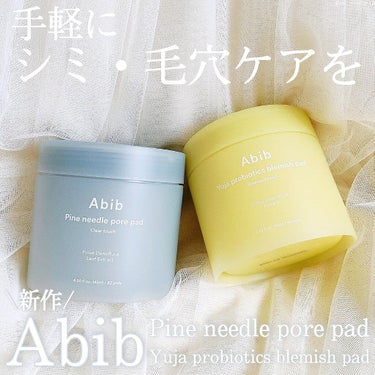 松葉ポアーパッド クリアタッチ/Abib /その他スキンケアを使ったクチコミ（1枚目）