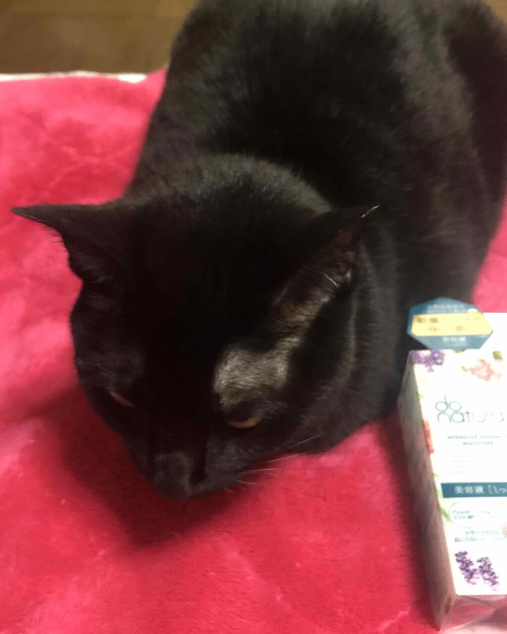 インテンシブ エッセンス [モイスチャー]/do natural/美容液を使ったクチコミ（2枚目）