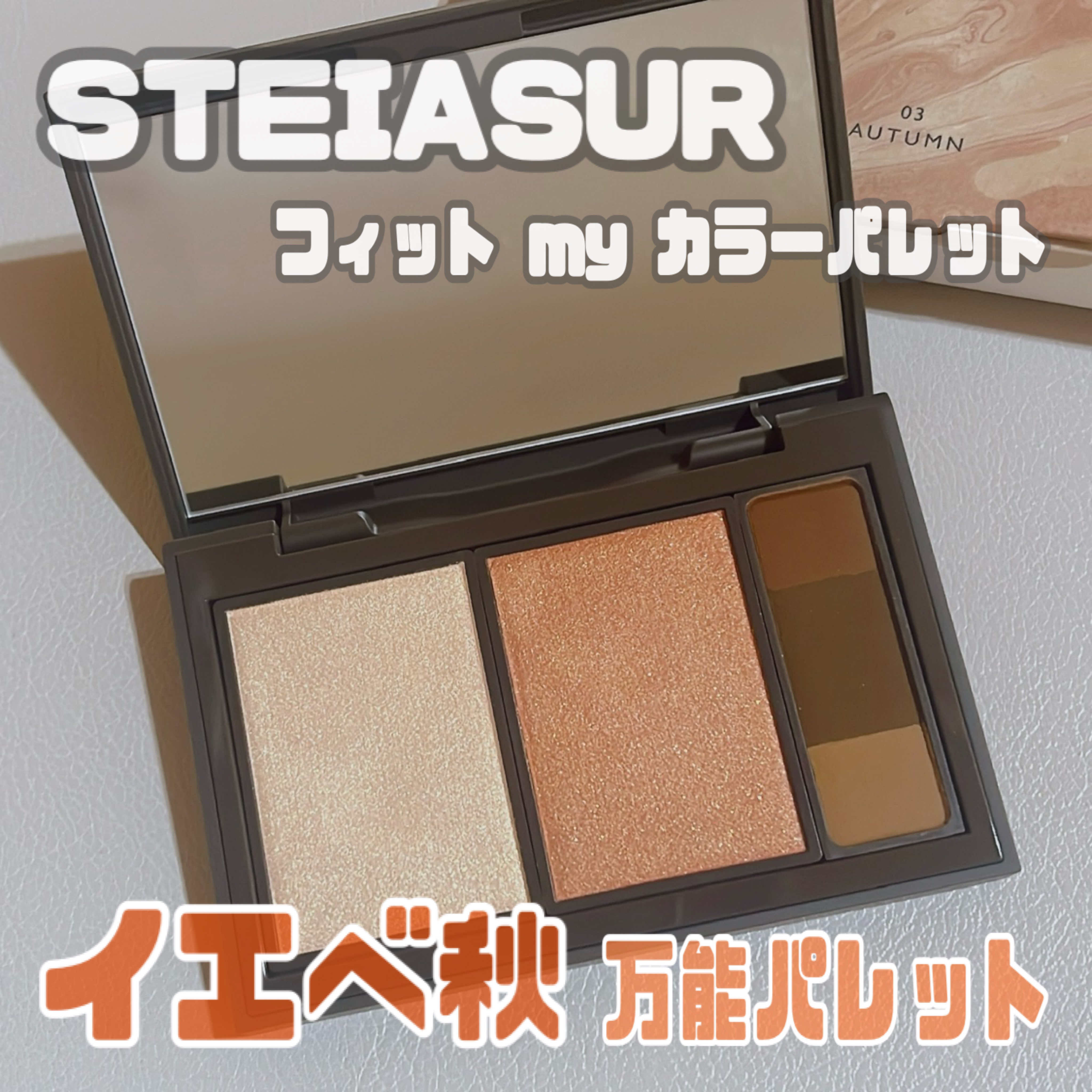 フィット my カラーパレット 03 autumn/STEIASUR（ステイアシュール）/マルチパレットを使ったクチコミ（1枚目）