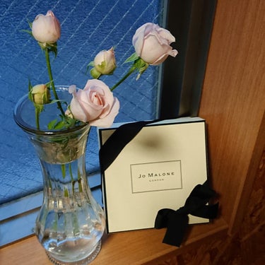 イングリッシュ ペアー＆フリージア コロン/Jo MALONE LONDON/香水(レディース)を使ったクチコミ（1枚目）