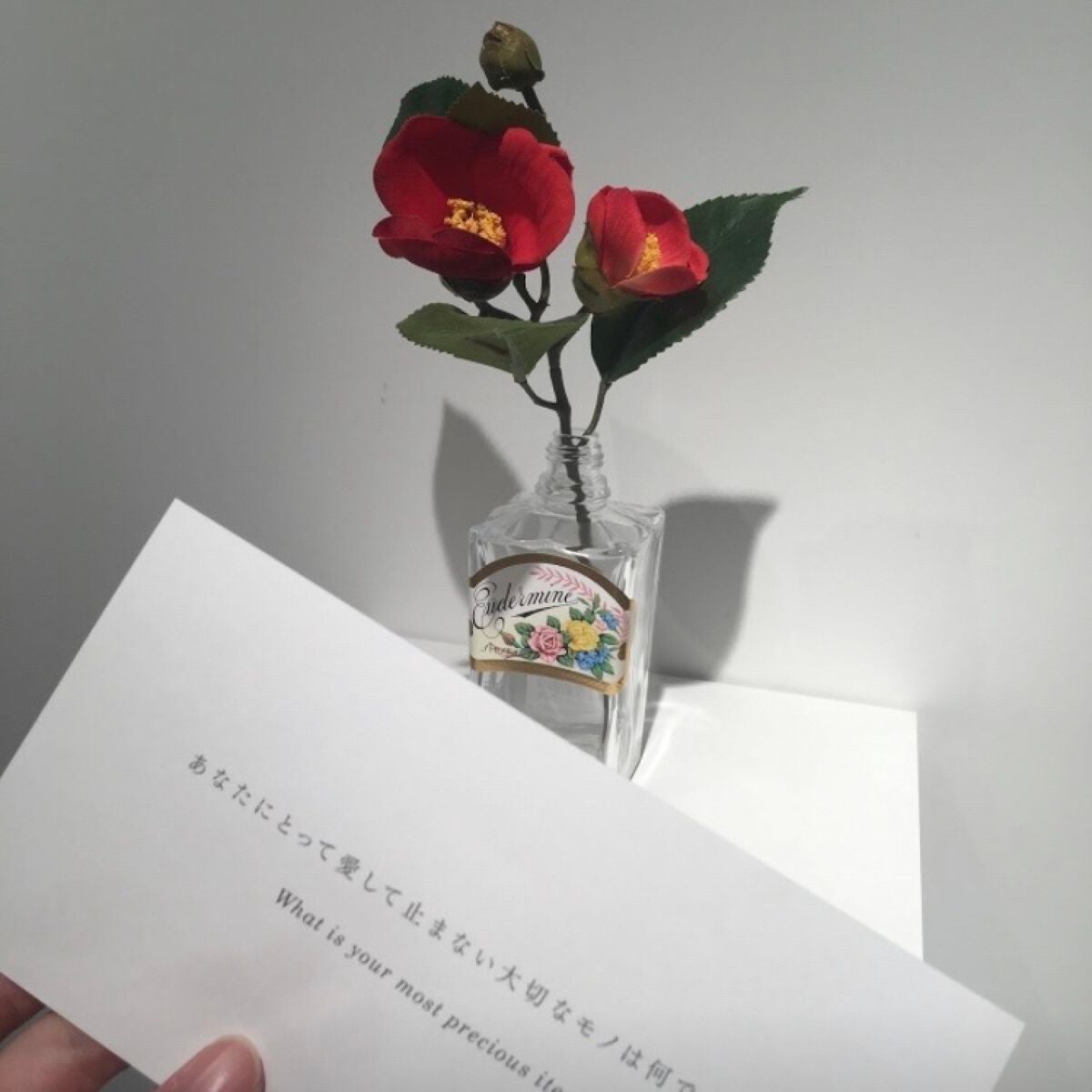 オイデルミン エッセンスローション/SHISEIDO/化粧水を使ったクチコミ(8枚目)