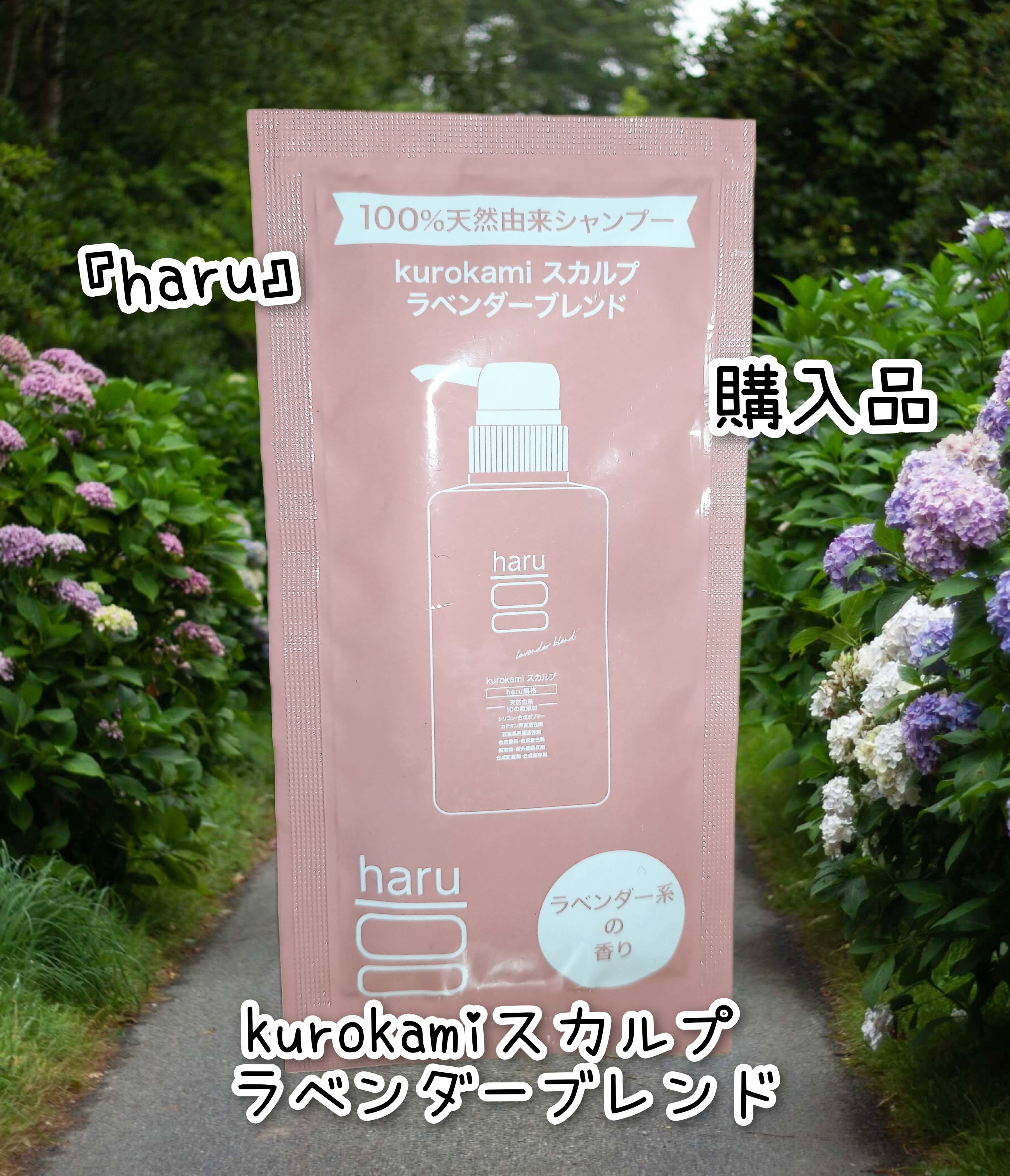 kurokamiスカルプ ラベンダーブレンド/haru/市販シャンプーを使ったクチコミ（1枚目）