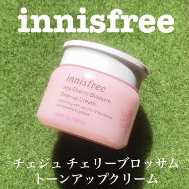 チェジュ チェリーブロッサム トーンアップクリーム/innisfree/化粧下地を使ったクチコミ（1枚目）