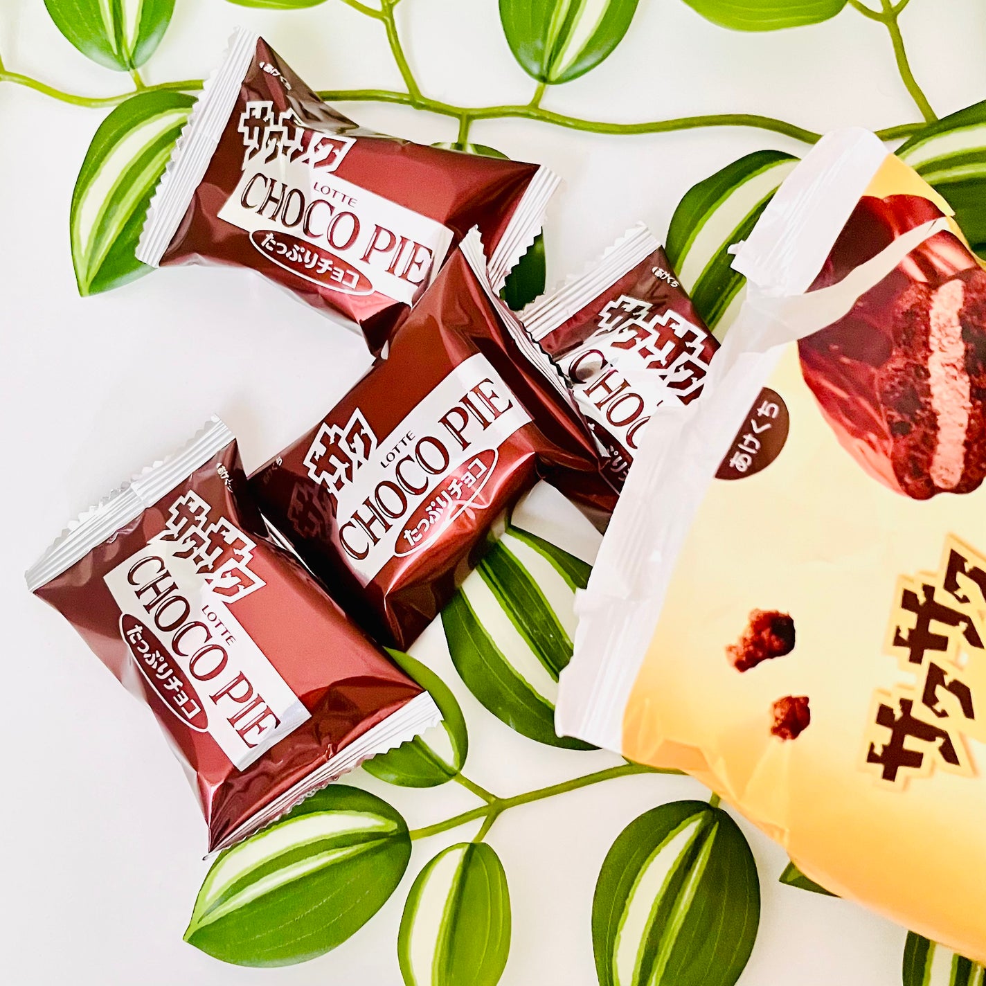 きぎ / フォロバします on LIPS 「🤎🍫チョコパイがちっちゃくなっちゃった!?新商品レビュー🐻🤎_..」(3枚目)