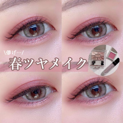 リッドフラッシュ/CHICCA/アイシャドウパレットを使ったクチコミ(1枚目)