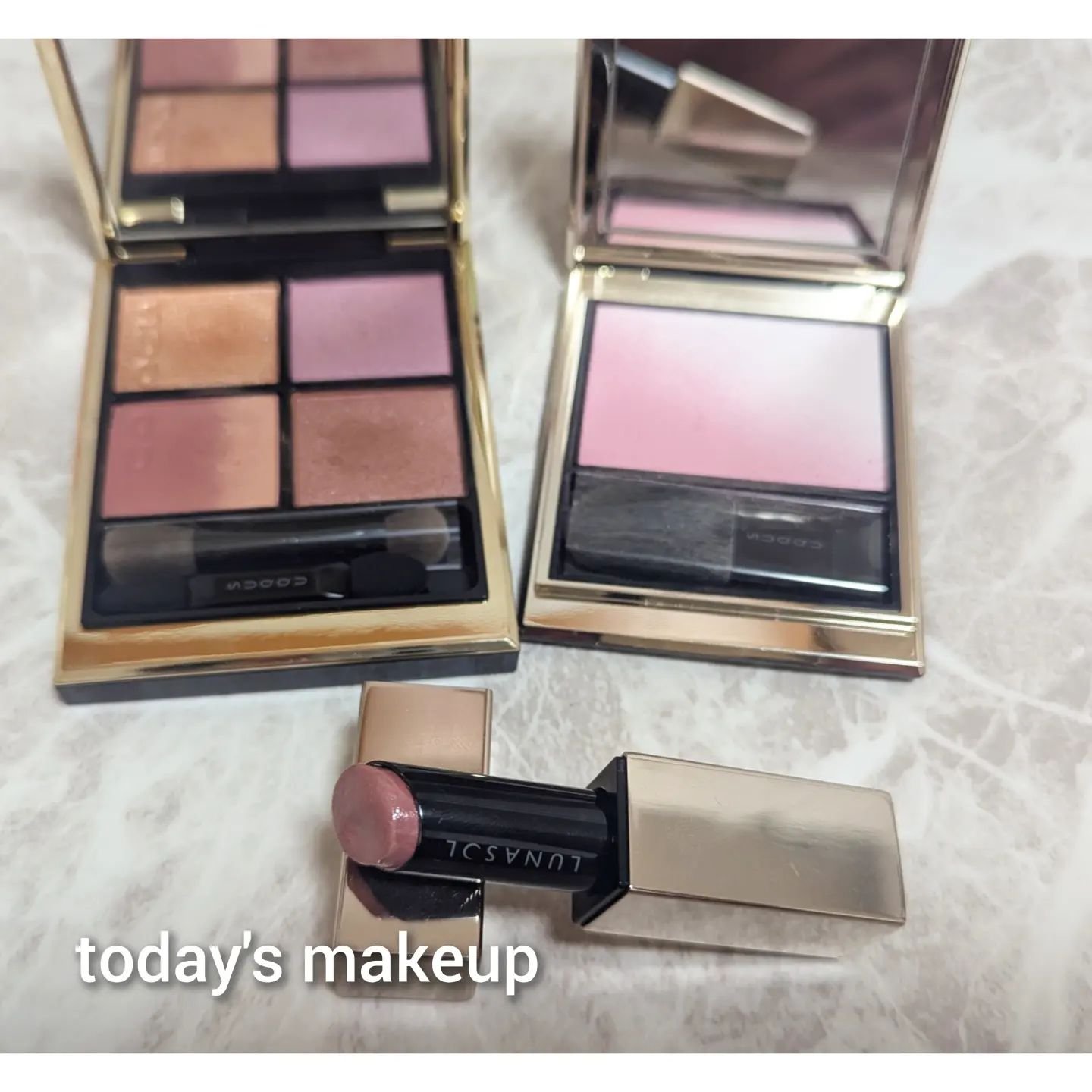 プランプメロウリップス EX10 Cuddle Rose（カドルローズ）/LUNASOL/口紅を使ったクチコミ（1枚目）