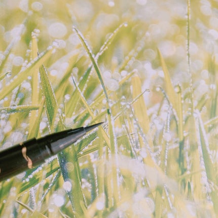 極細 アイライナーR 10 ブラック/CEZANNE/リキッドアイライナーの画像